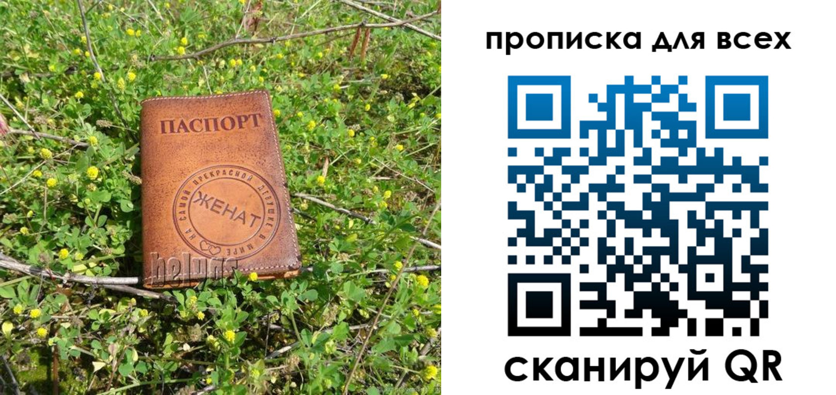 прописка поиск в Долинске